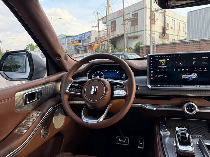 Tank 700 Hybrid 2024 2024款 Hi4-T 极境版