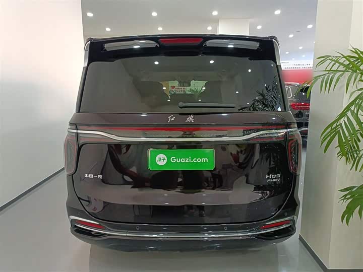 Hongqi HQ9 Hybrid 2024 2024款 2.0T 四驱商务版