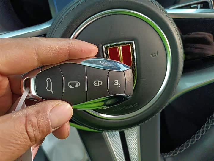 Hongqi HQ9 Hybrid 2024 2024款 2.0T 四驱商务版