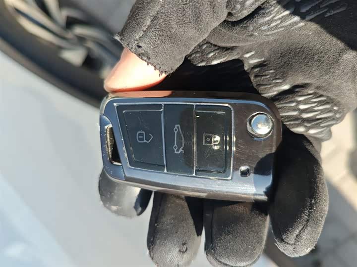 Volkswagen Tiguan L Pro 2025 2025款 出众款 300TSI 自动两驱龙腾版