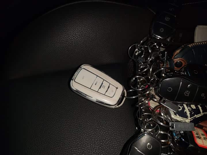 Toyota Levin GT 2023 2023款 2.0L 豪华版