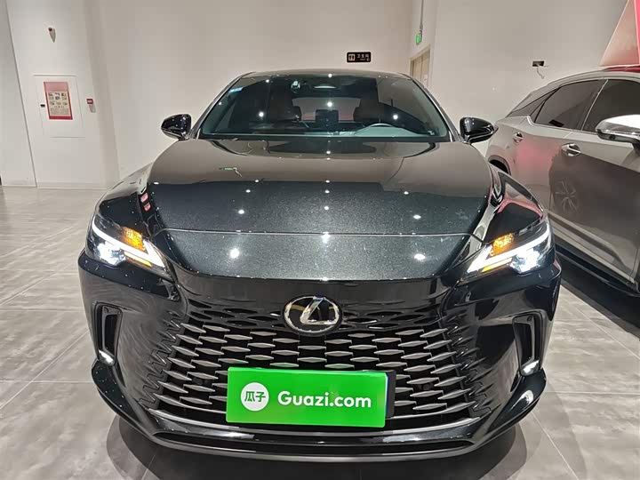 Lexus RX 2025 2025款 300 四驱骏享版