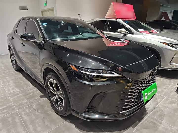 Lexus RX 2025 2025款 300 四驱骏享版