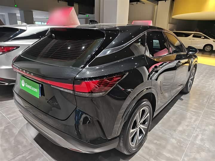 Lexus RX 2025 2025款 300 四驱骏享版