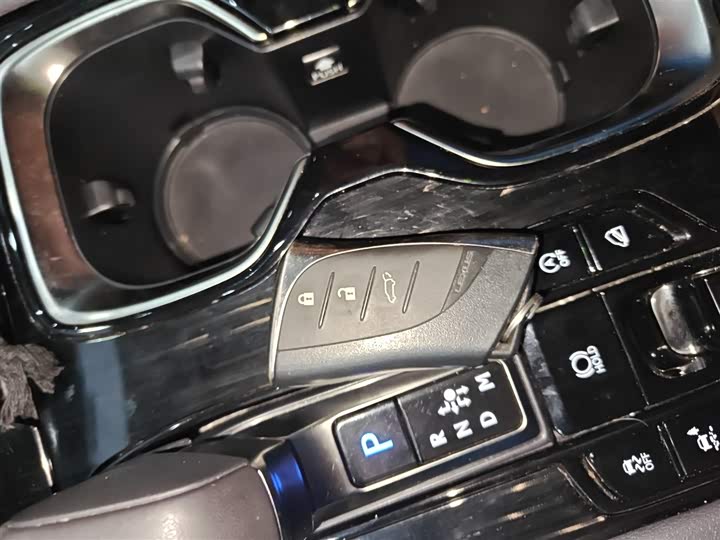 Lexus RX 2025 2025款 300 四驱骏享版