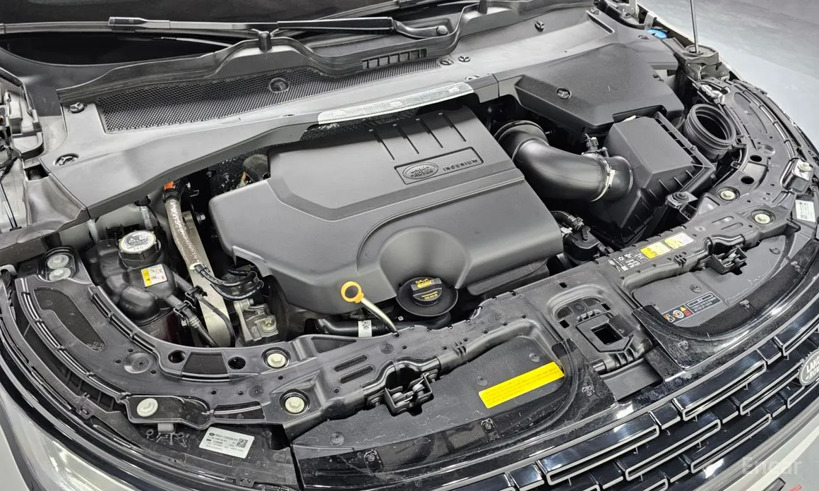 Land Rover Range Rover Evoque 2019 P250 Dynamic SE