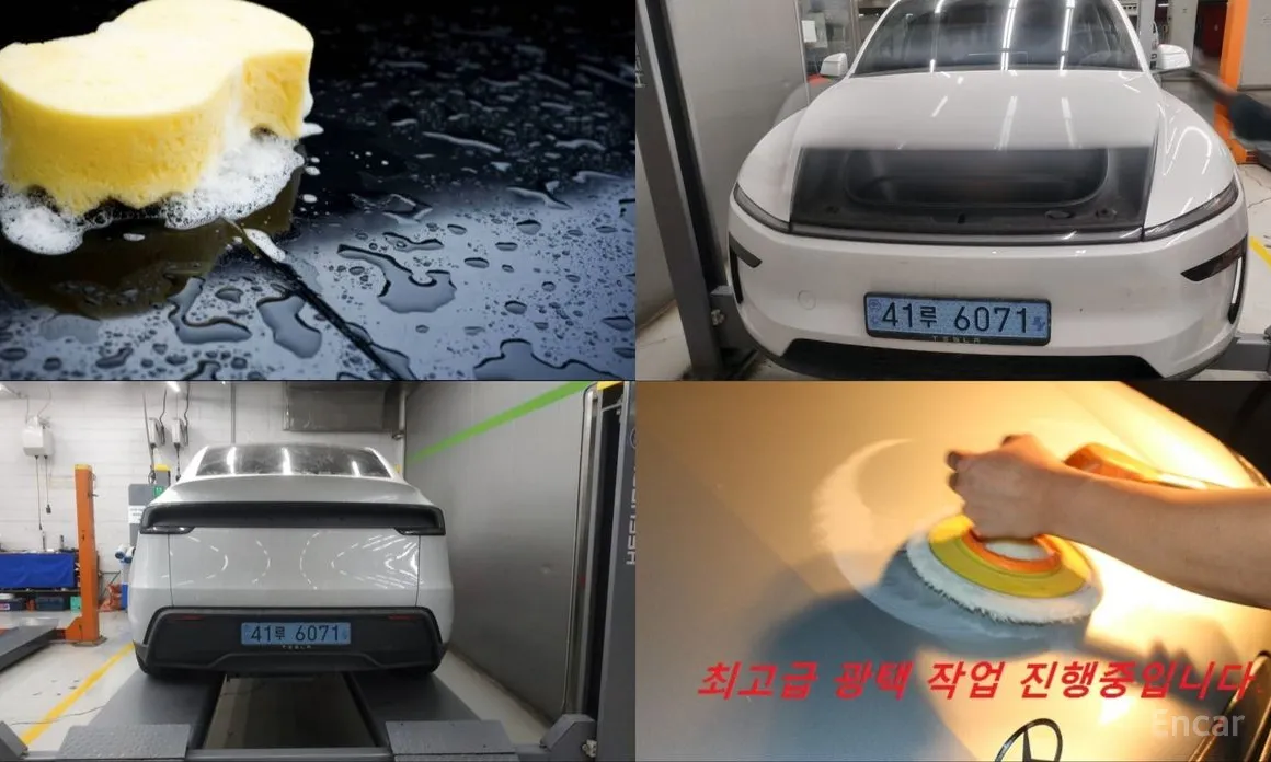 Tesla Model Y 2020 RWD