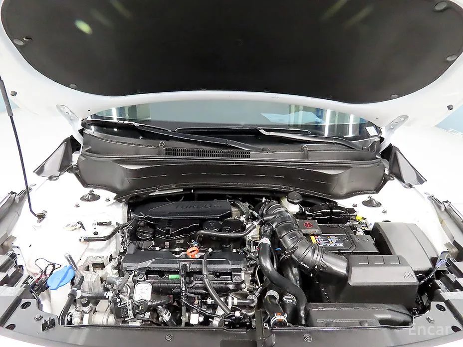 Kia Seltos 2022 Gasoline 1.6 Turbo 2WD