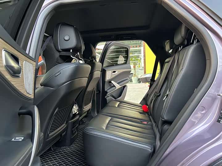 Denza X 2020 2020款 PHEV旗舰版