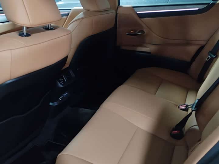 Lexus ES 2025 2025款 200 臻享版