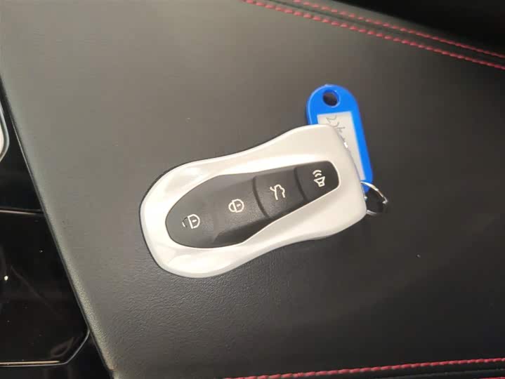 Geely Tugella S 2021 2021款 2.0TD DCT两驱闪电版