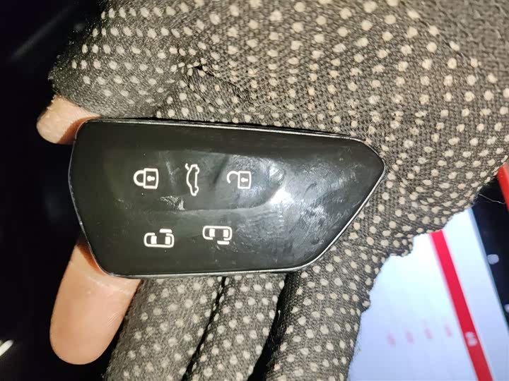 Volkswagen Viloran 2024 2024款 380TSI 尊驰版