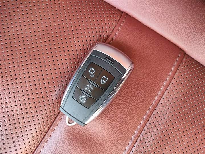 Beijing EU5 2020 2020款 京彩款 R500 智风版