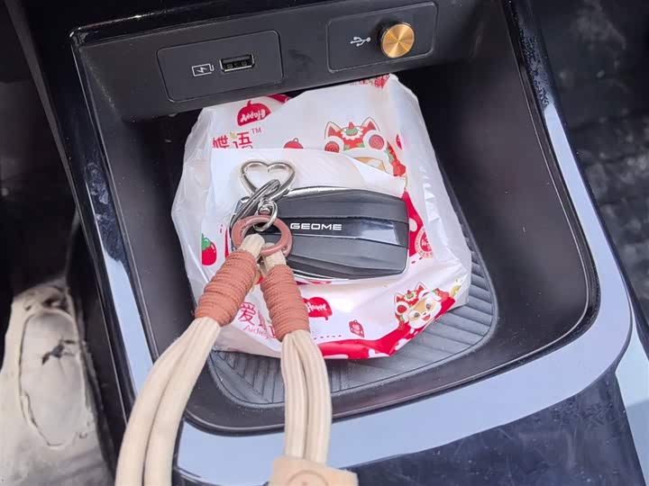 Geely Geometry E Firefly 2024 2024款 401km 星光