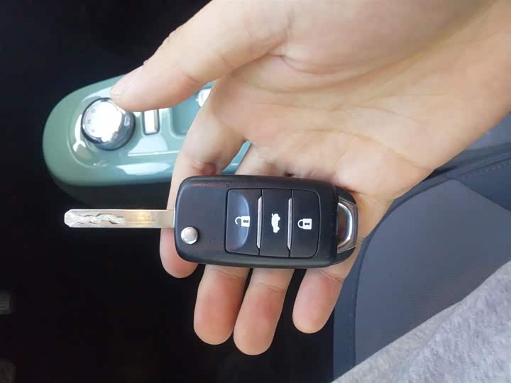 Changan Qiyuan (Nevo) Lumin 2025 2025款 205km 清香款