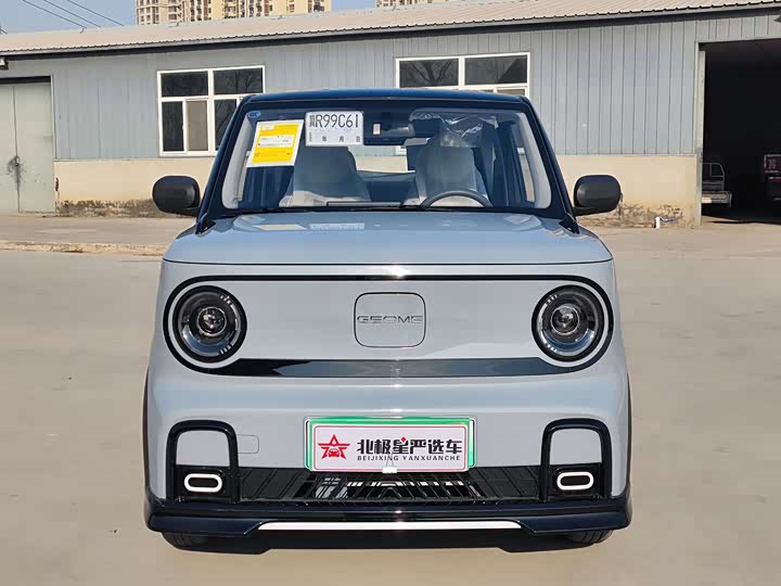 Geely Galaxy Panda Mini 2025 2025款 210km 熊猫卡丁