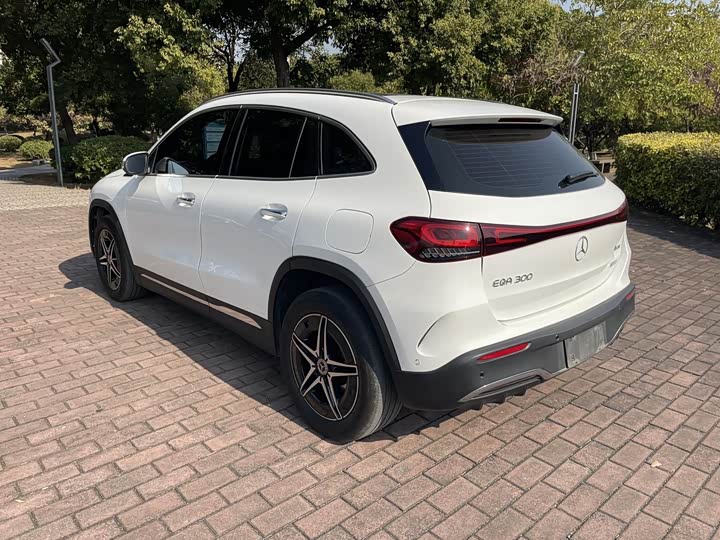 Mercedes-Benz EQA 2022 2022款 EQA 300 4MATIC 首发特别版