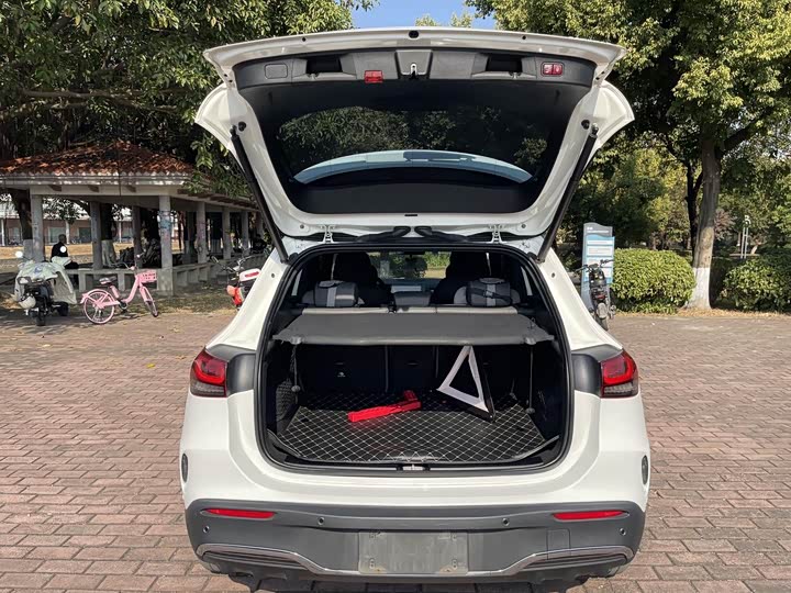 Mercedes-Benz EQA 2022 2022款 EQA 300 4MATIC 首发特别版