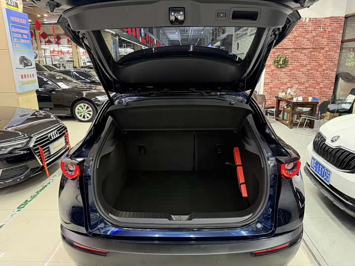 Mazda CX-30 2022 2022款 2.0L 自动嘉悦型黑曜版