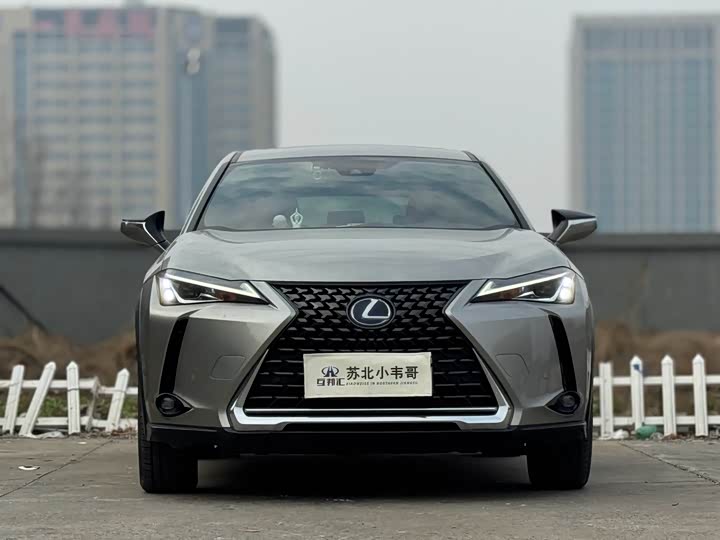Lexus UX 2020 2020款 260h 探·趣版 国V