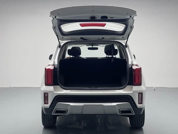 Kia Sportage GT-line 2021 2021款 Ace 2.0L 挑战版
