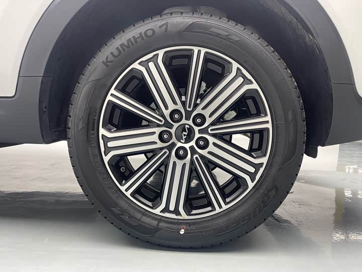 Kia Sportage GT-line 2021 2021款 Ace 2.0L 挑战版