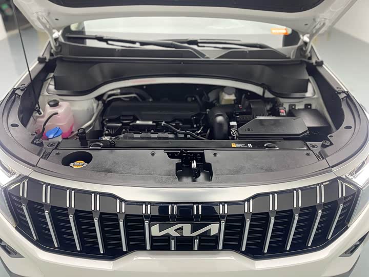 Kia Sportage GT-line 2021 2021款 Ace 2.0L 挑战版