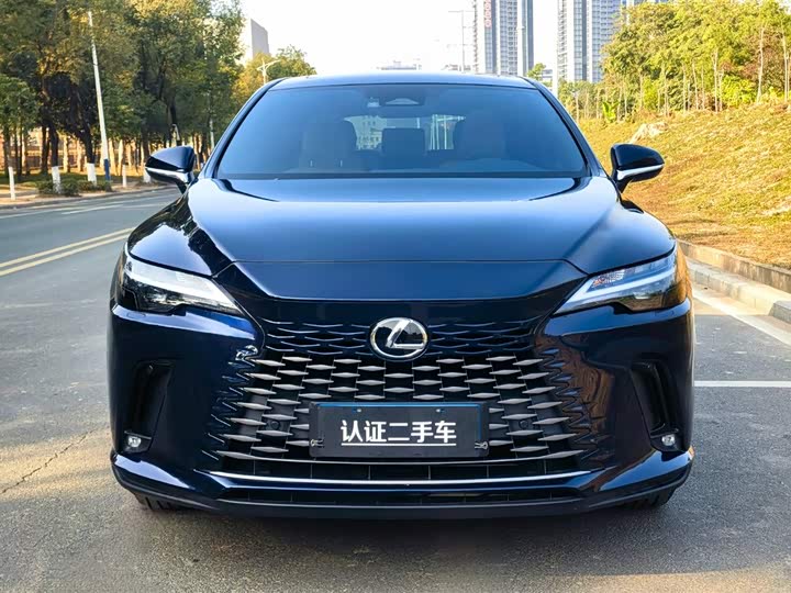 2025 Lexus RX