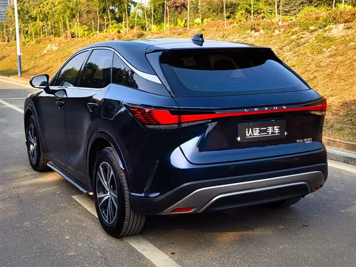 2025 Lexus RX