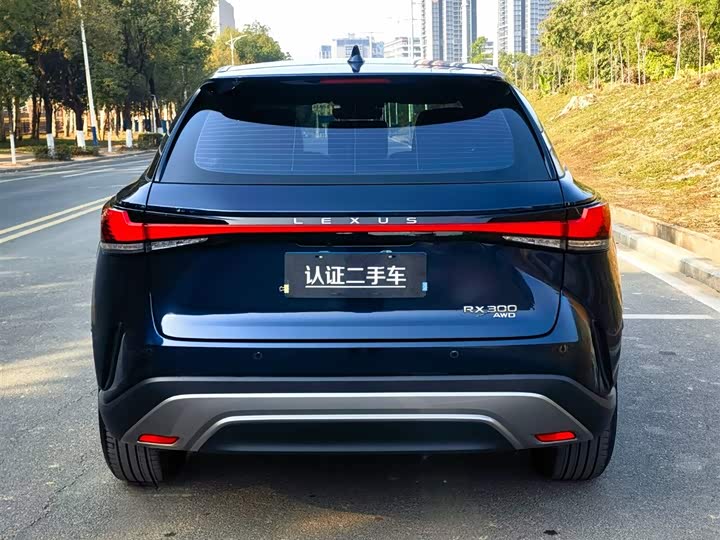 Lexus RX 2025 2025款 300 四驱骏享版