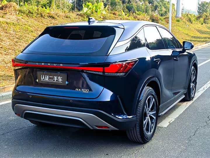 Lexus RX 2025 2025款 300 四驱骏享版