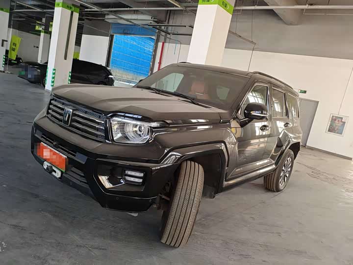 Tank 700 Hybrid 2024 2024款 Hi4-T 极境版