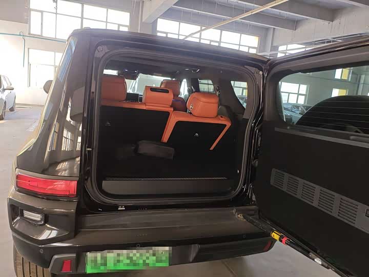 Tank 700 Hybrid 2024 2024款 Hi4-T 极境版