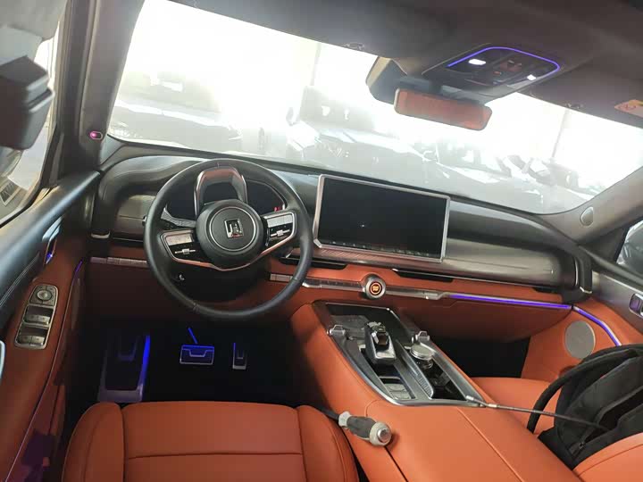 Tank 700 Hybrid 2024 2024款 Hi4-T 极境版