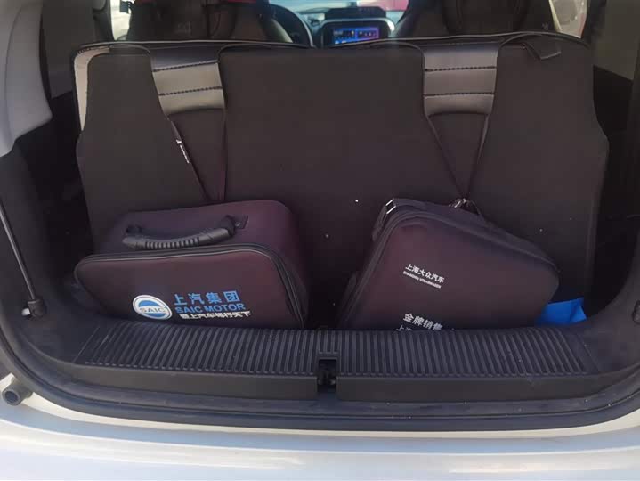 Roewe Clever 2022 2022款 311km元气啵啵版