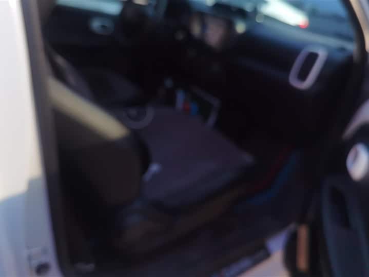 Roewe Clever 2022 2022款 311km元气啵啵版