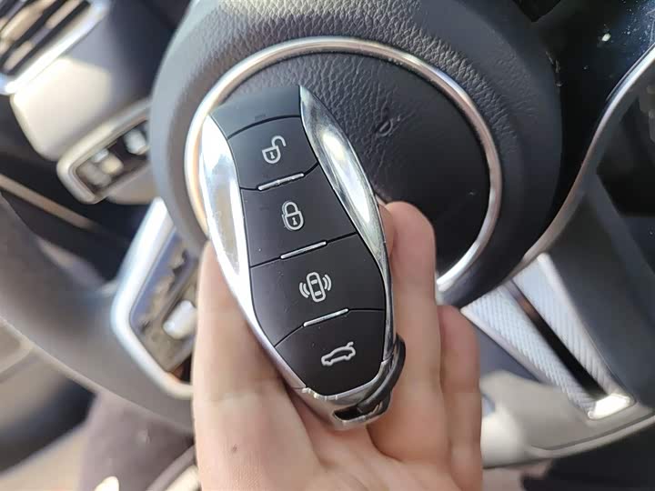 Hongqi HS7 Hybrid 2024 2024款 2.0T PHEV 四驱旗畅版 6座