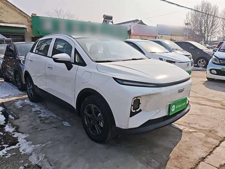 Geely Geometry E Firefly 2024 2024款 301km 星光