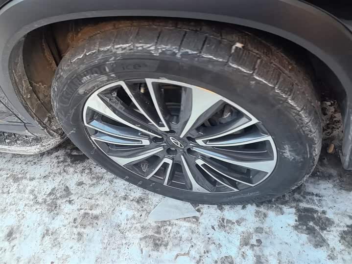 Chery Tiggo 8 Pro 2024 2024款 冠军版 390T 两驱傲视版 5座