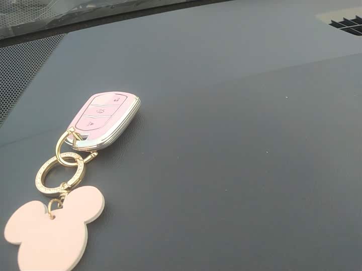 Cadillac XT4 2023 2023款 28T 两驱风尚型