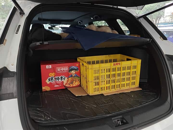 BYD Song Pro 2021 2021款 1.5T 自动骁云版豪华型