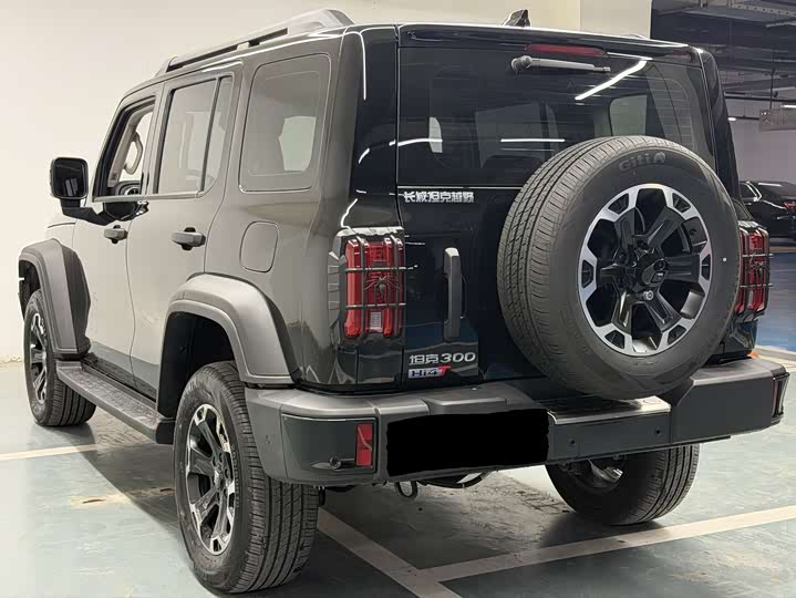 Tank 300 Hybrid 2025 2025款 Hi4-T 37.1kWh