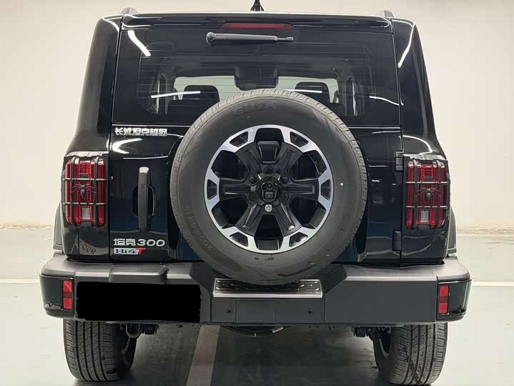 Tank 300 Hybrid 2025 2025款 Hi4-T 37.1kWh