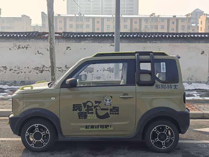 2025 Geely Galaxy Panda Mini