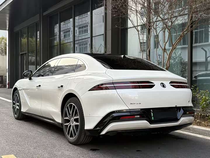 Denza Z9 2024 2024款 1100km 四驱Max版