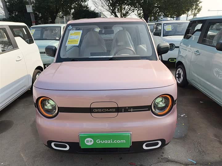 Geely Galaxy Panda Mini 2025 2025款 熊猫mini 210km 元气熊