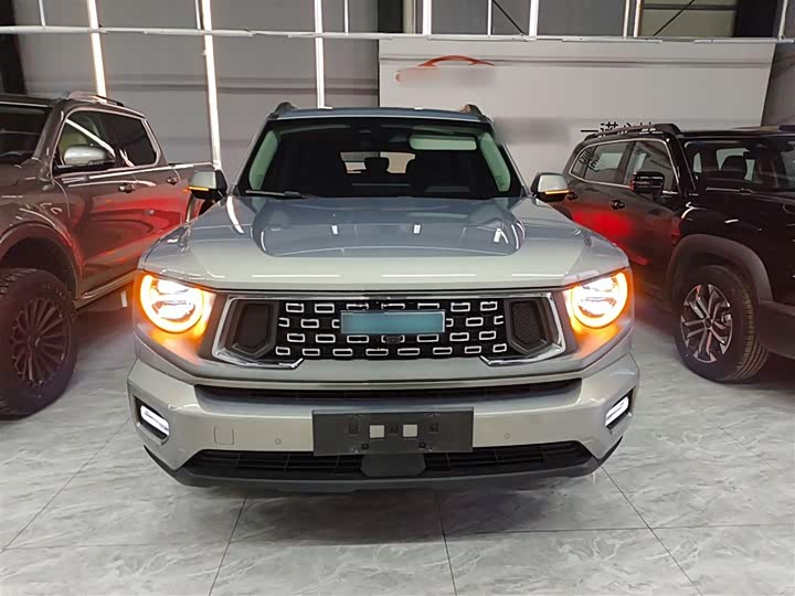 Haval H-Dog Hybrid 2024 2024款 Hi4 102km 潮电版Plus