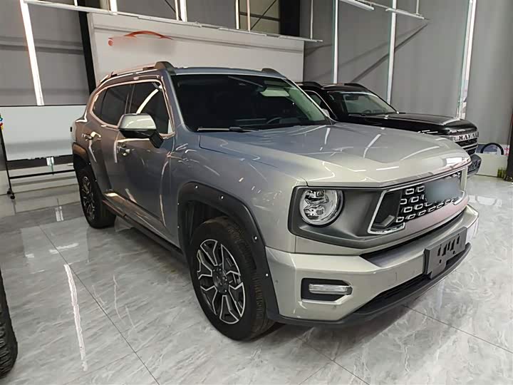 Haval H-Dog Hybrid 2024 2024款 Hi4 102km 潮电版Plus