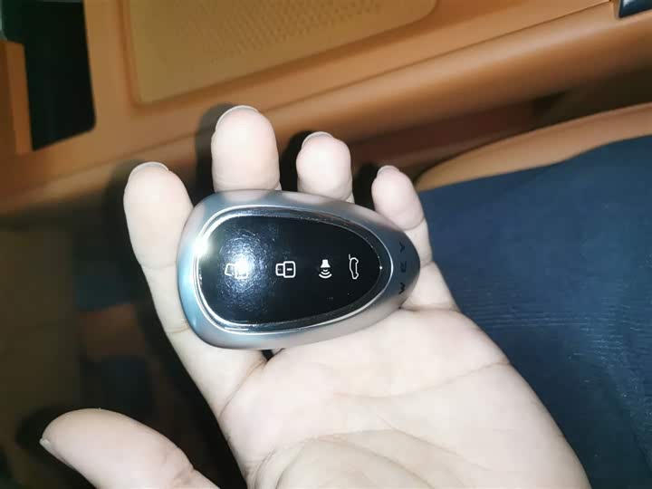 Wey Lanshan 2025 2025款 四驱智驾 Ultra