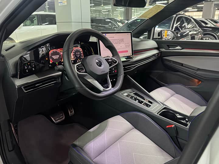 Volkswagen Golf 2025 2025款 300TSI R-Line